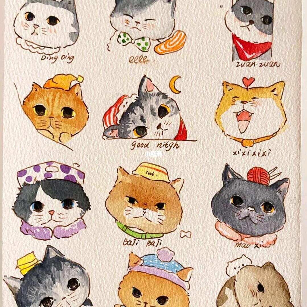 狗子网络宠物格温