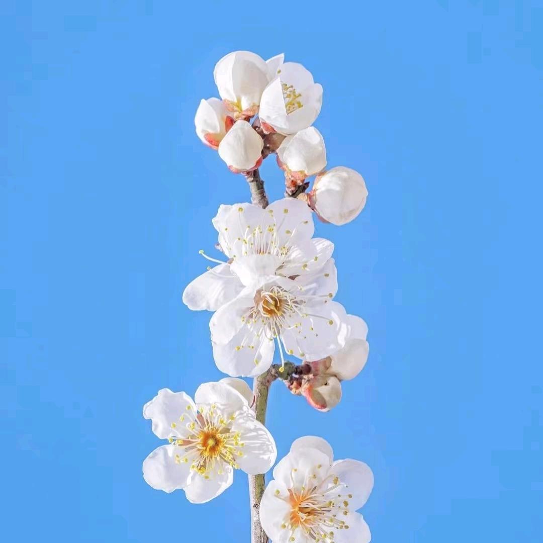 如果一切可以重来。
