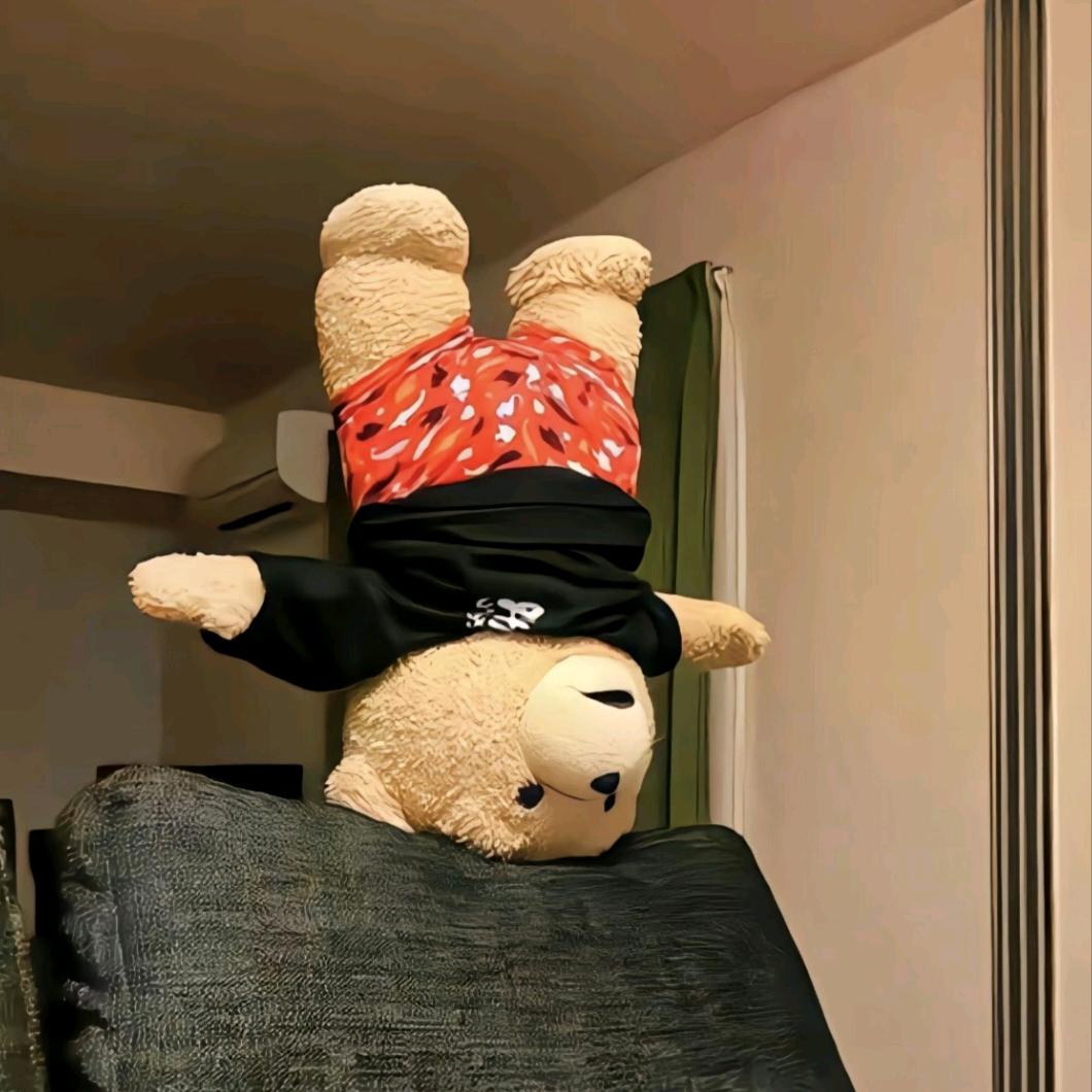 子非鱼