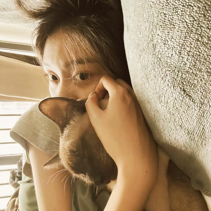 拾玖天🍂