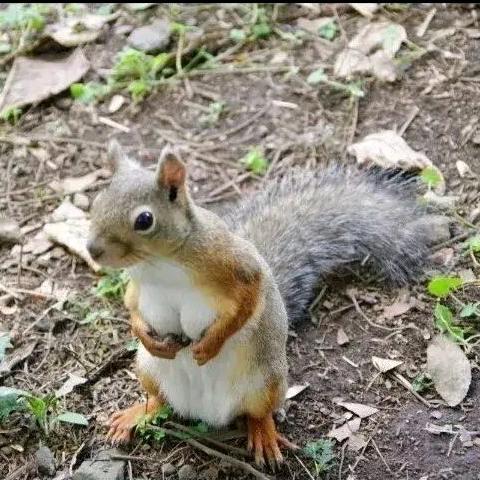 🥝愿得一人心🌰