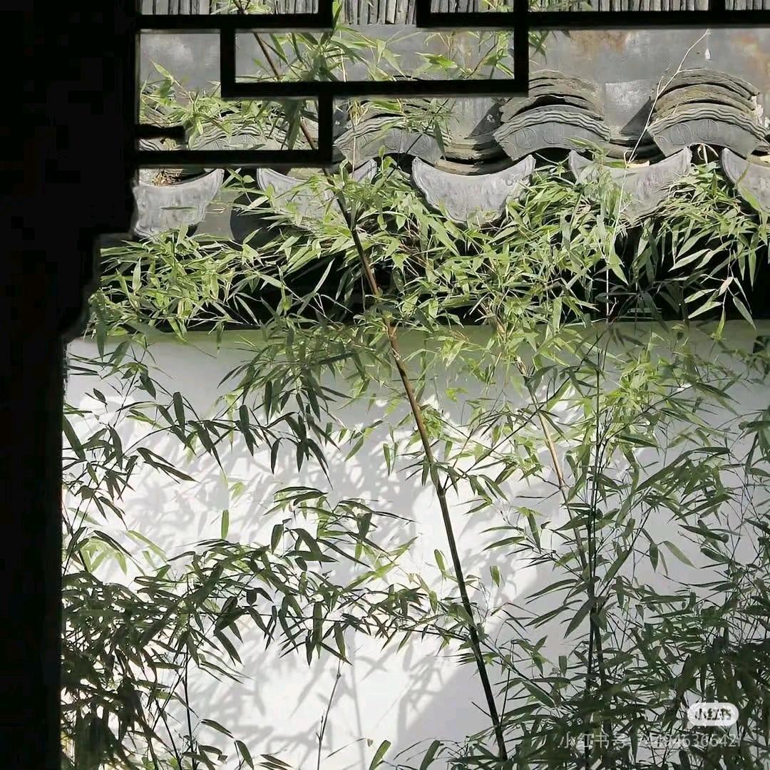慧欣文化