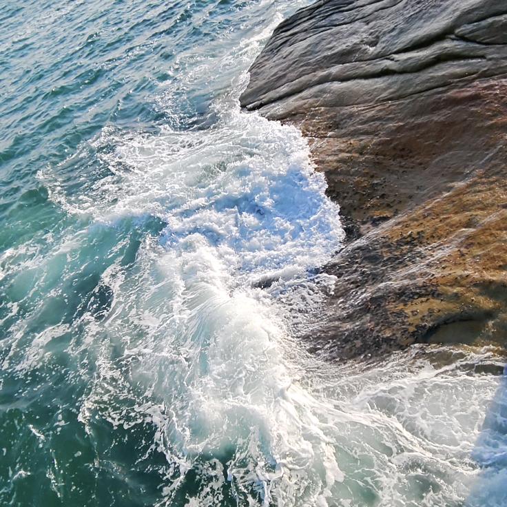 跟着我有好吃的