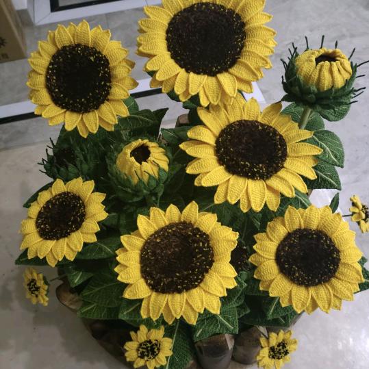 🌊🌻滚滚