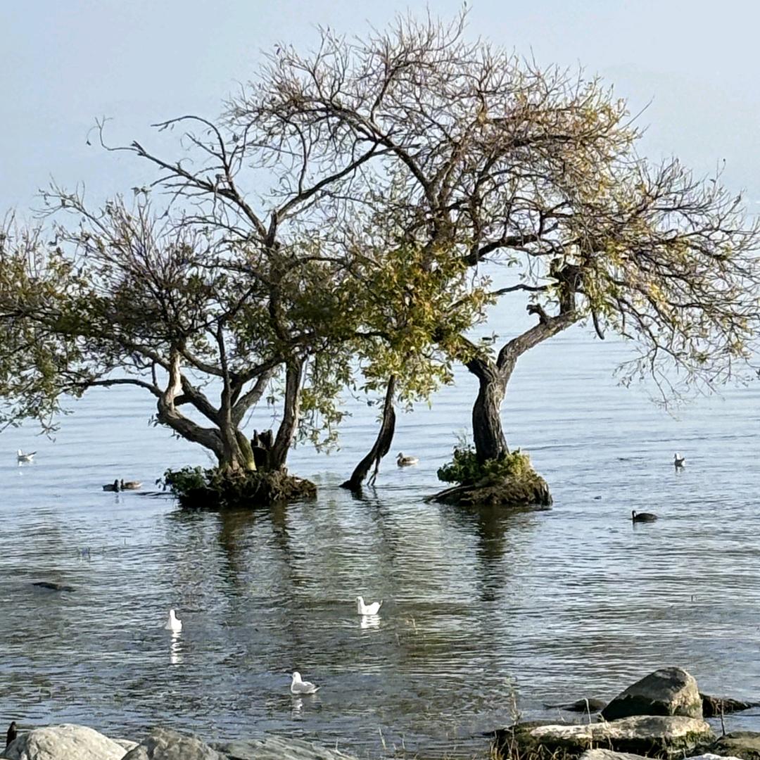 @吁吁~加油呀🌻🌻