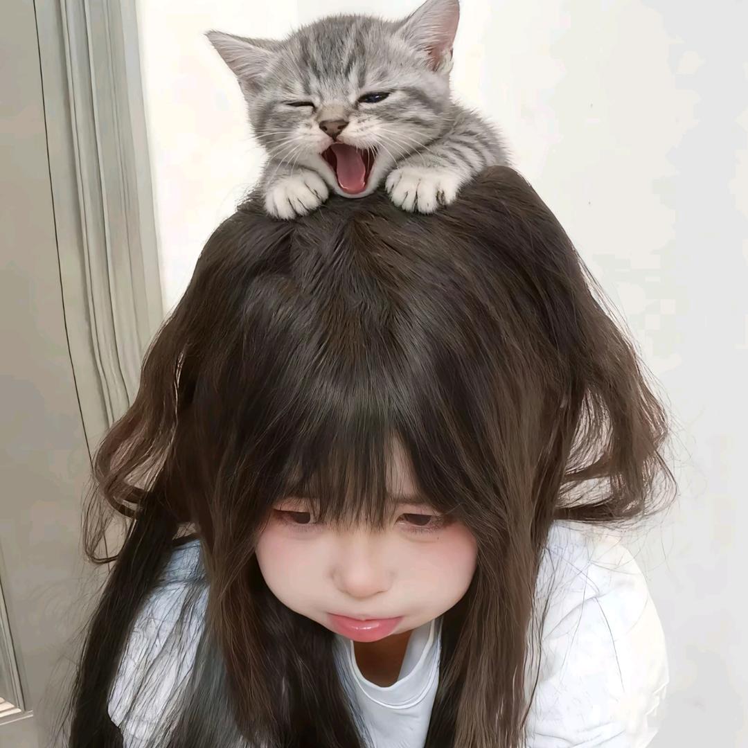 香格格