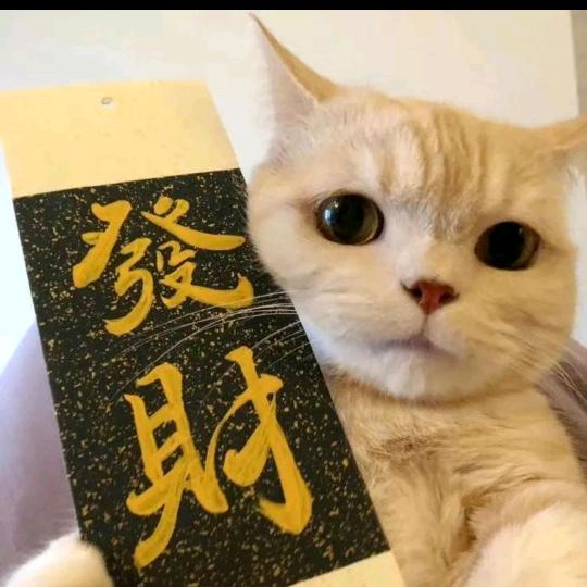 天天开心.