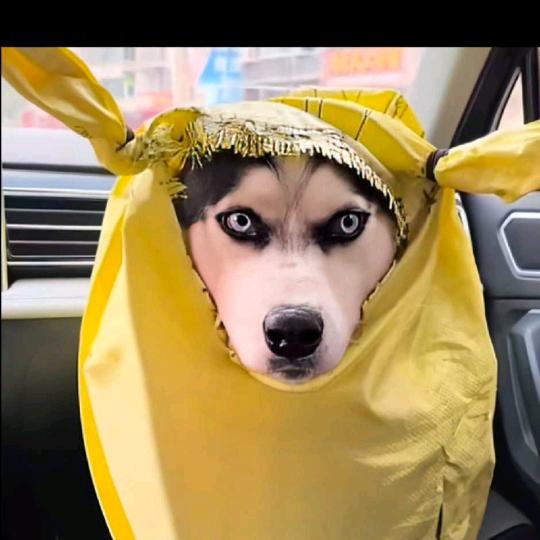 胡茂娟日常生活