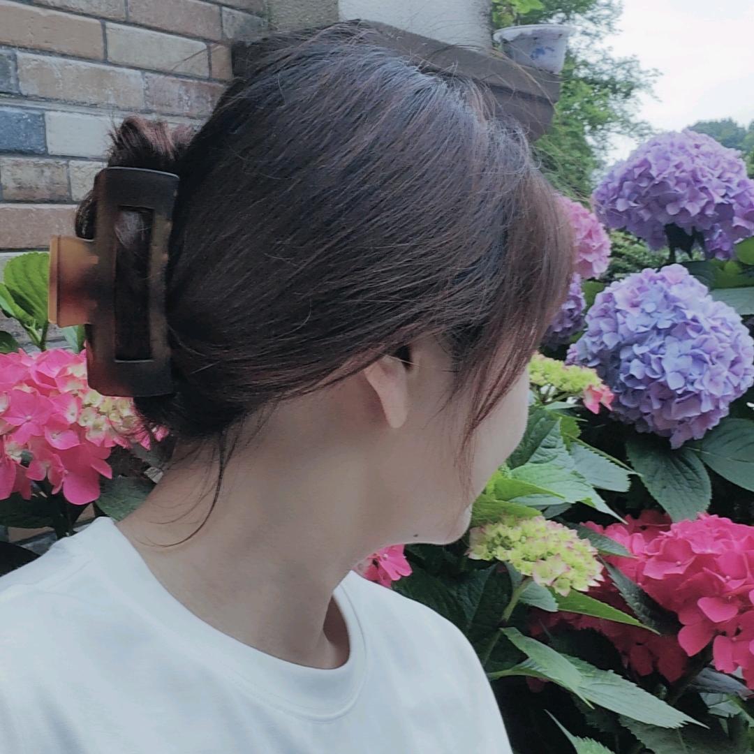 镜花水月
