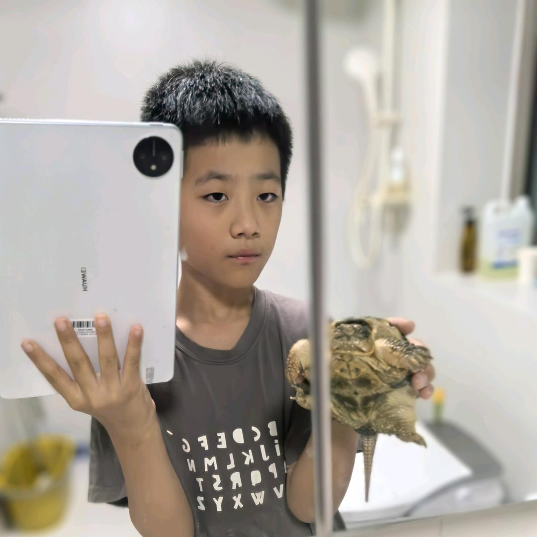 昆虫解说员🐢🐍🦎