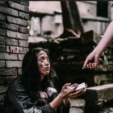 张珍珍