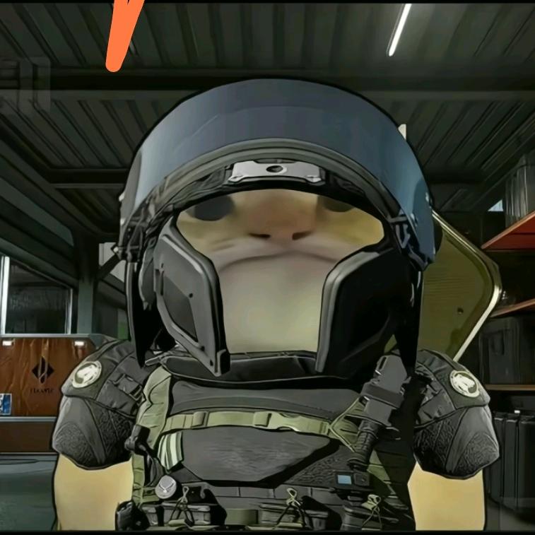 白泽（三角洲行动）