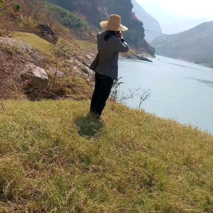 知意
