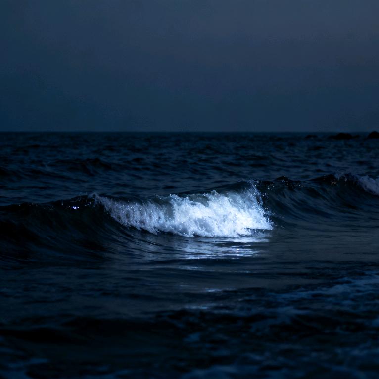 无声潮汐_🌊