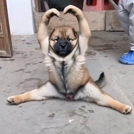 缘份让我认识你