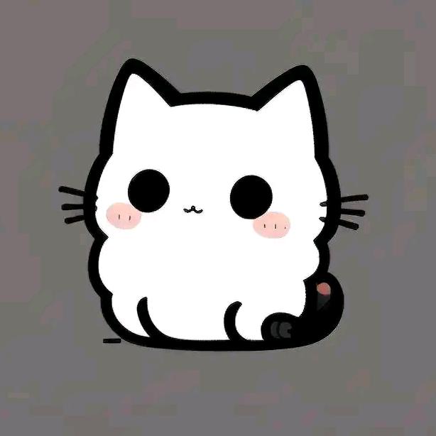 老猫视角