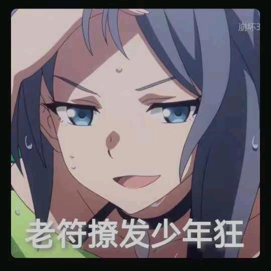 薪焉虫的翼