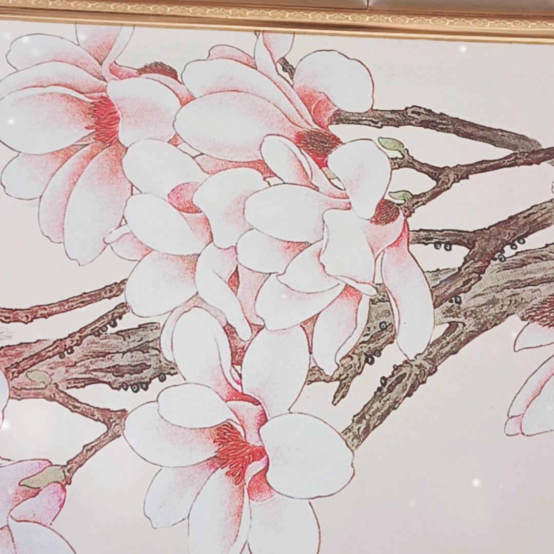 赵财猫+八方来财