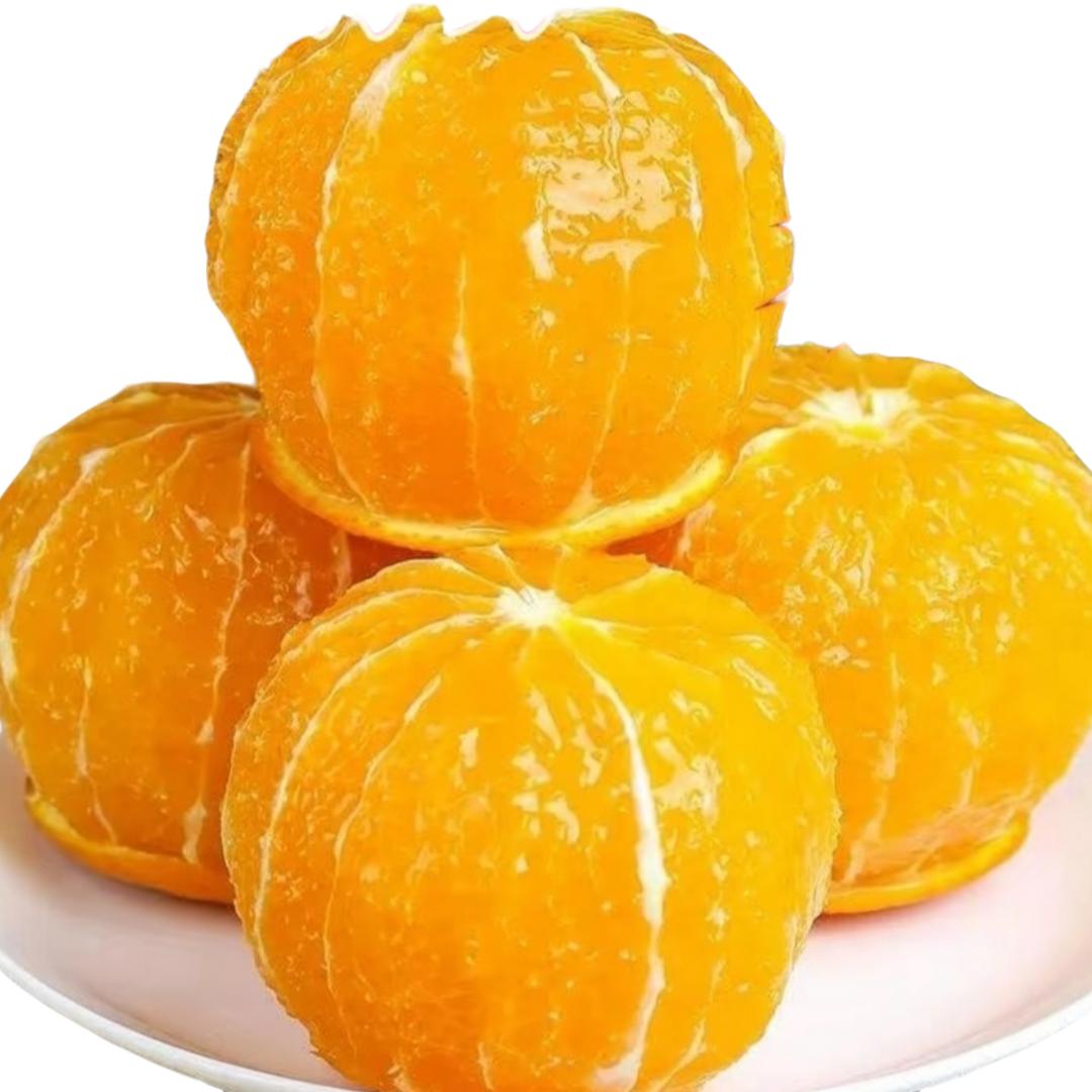 兵兵农家果园（奉节脐橙）