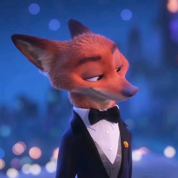 一只喵的碎碎念