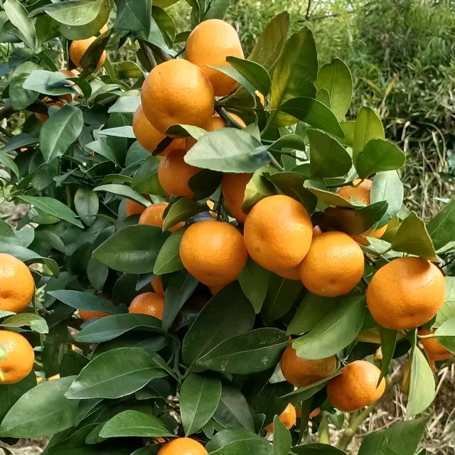 ღ᭄💞心累了ོএ谁懂