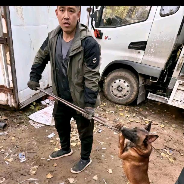 AA专业套狗杨师傅（看到舔狗一律抓走）