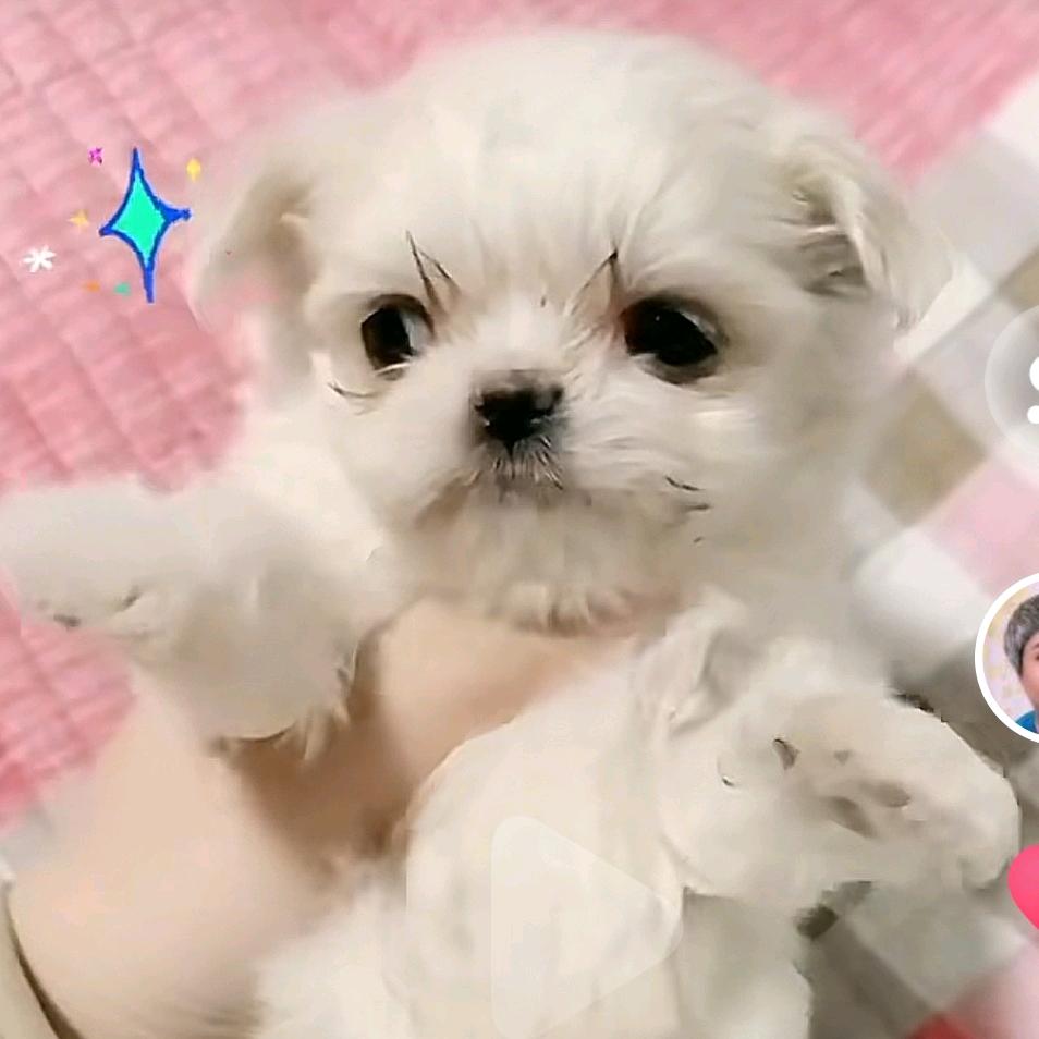 小李老太太