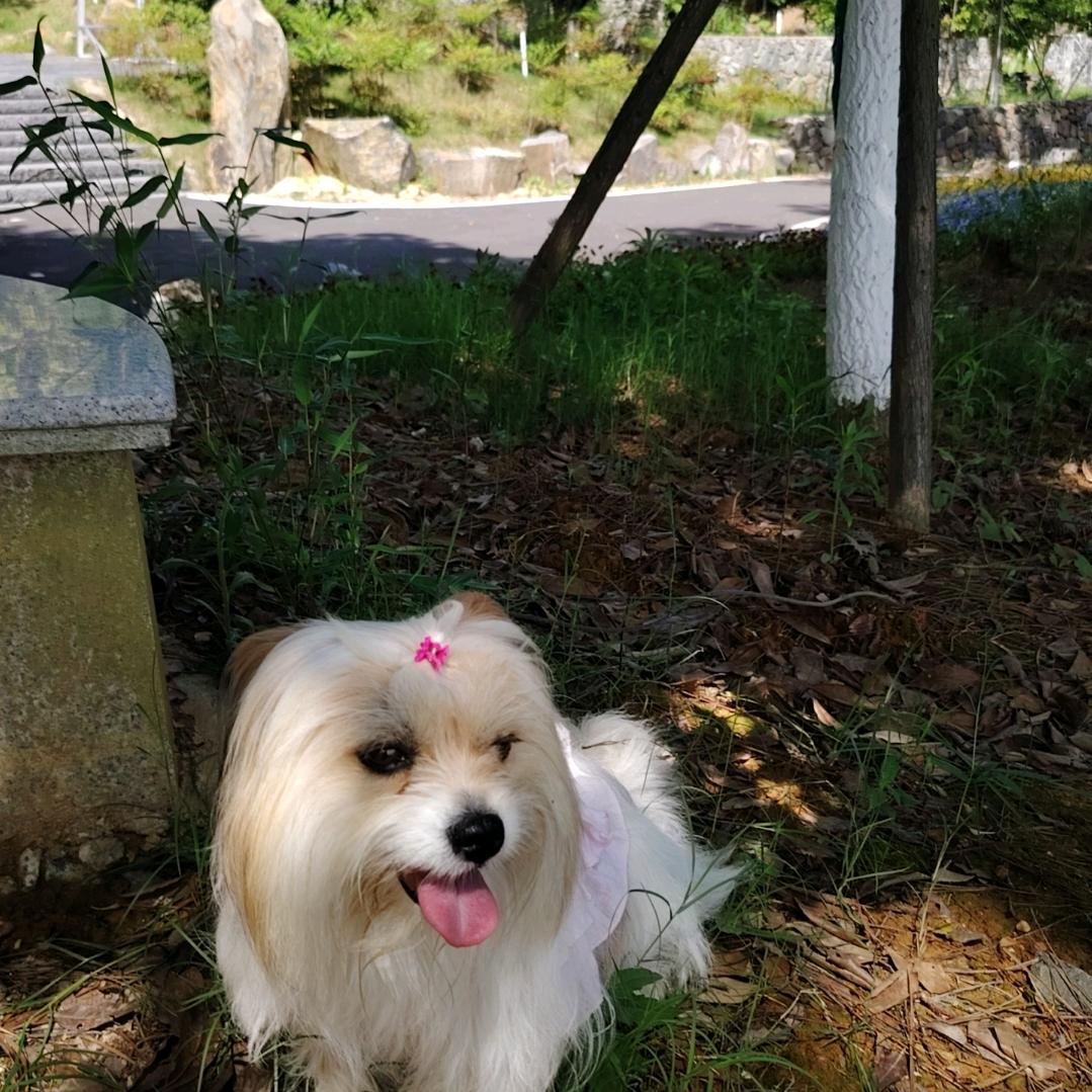 森林守护人