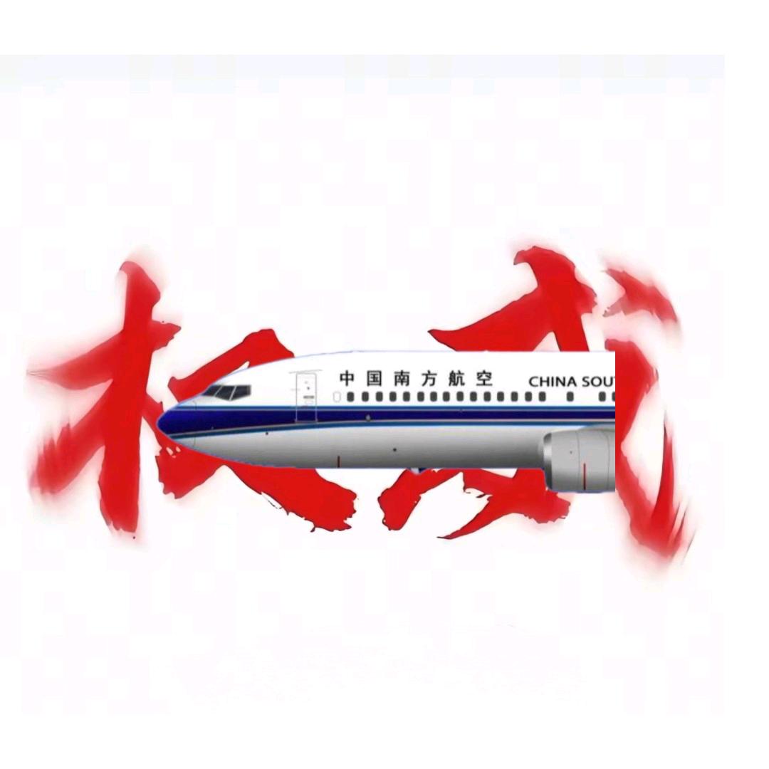 Boeing737MAX9✈️✨