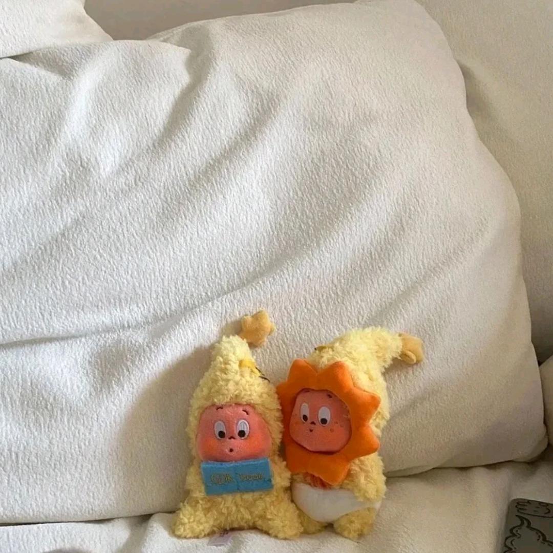 禾晞禾晞Hexi~✨