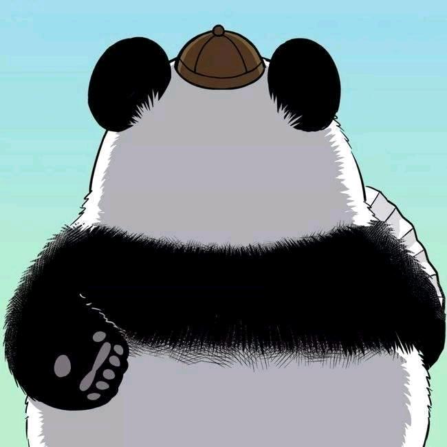 颜色不算色