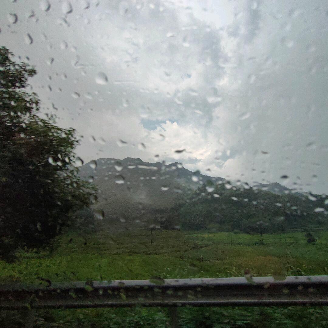小戴