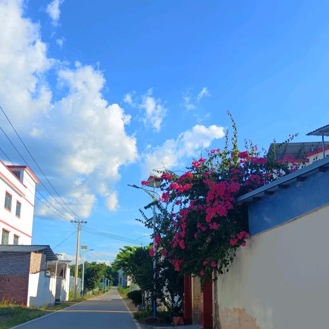 诗意