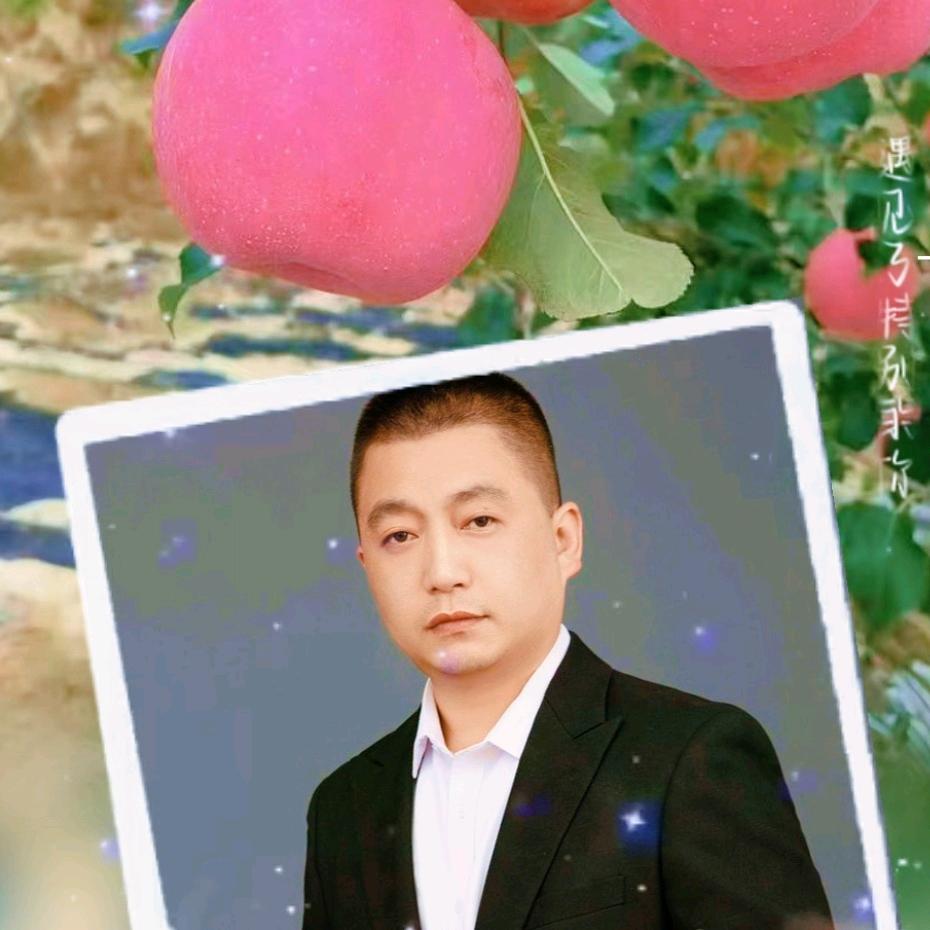 佳普