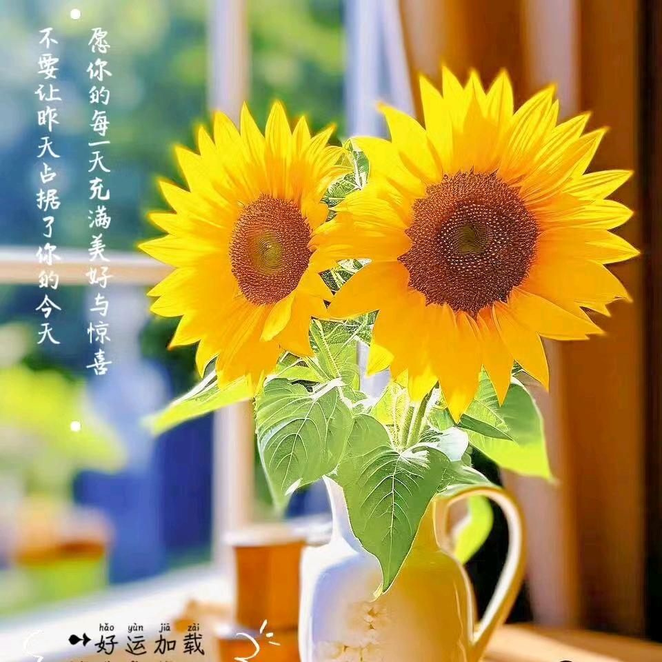 飘逸