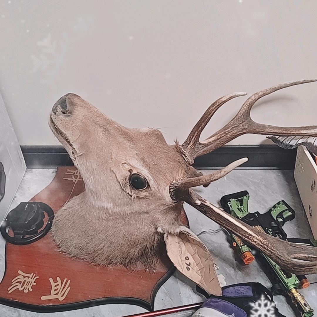 杨总