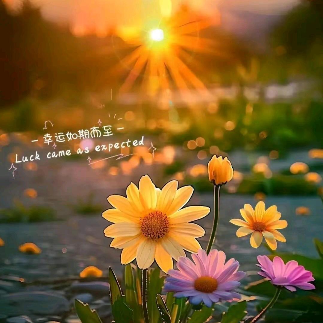 分不清东南西北