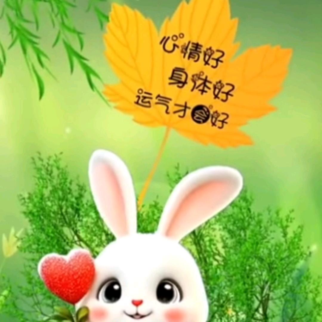 余生不将就