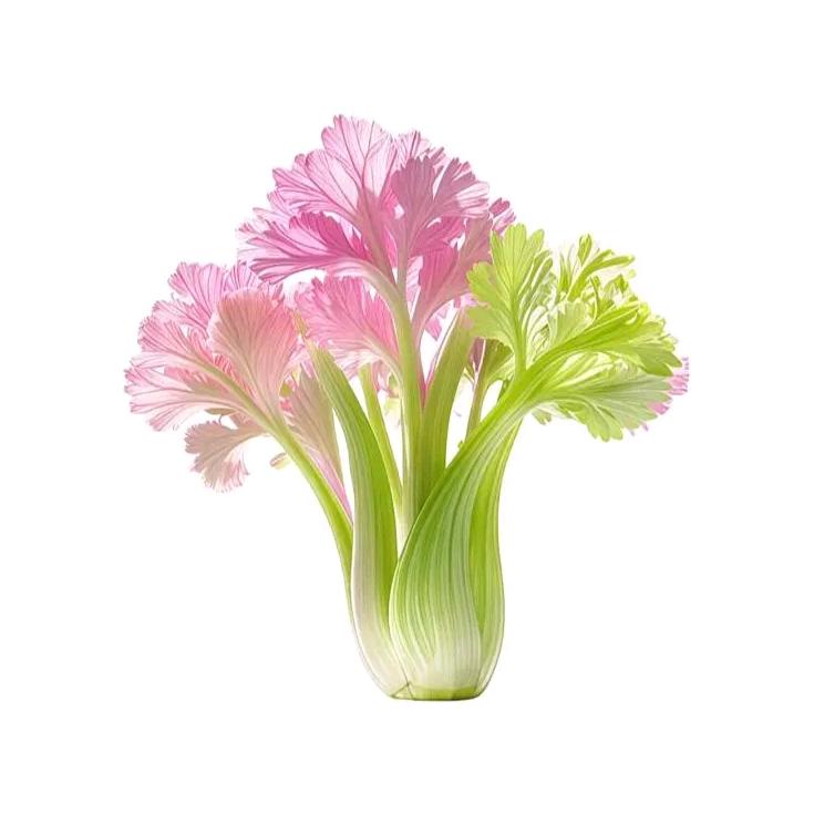 难吃的蔬菜.