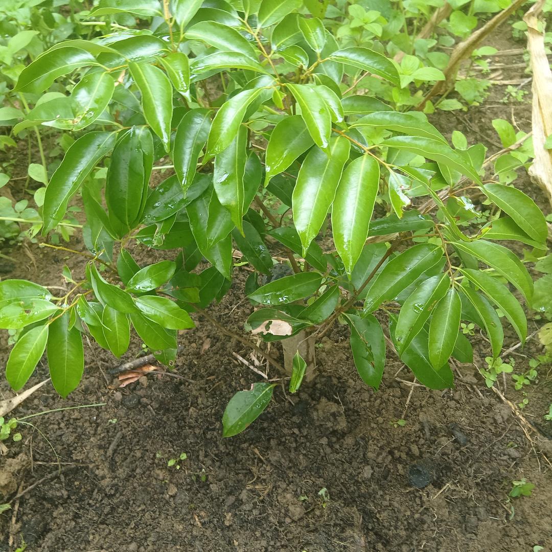 人生都是匆匆忙忙