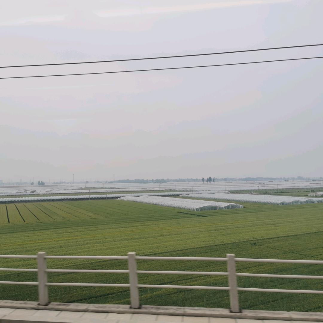 农业种植王老师