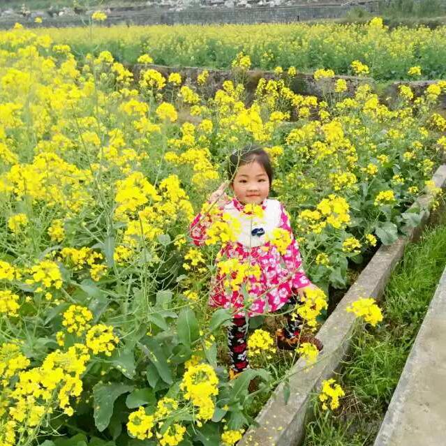 余生过好自己💅🏽