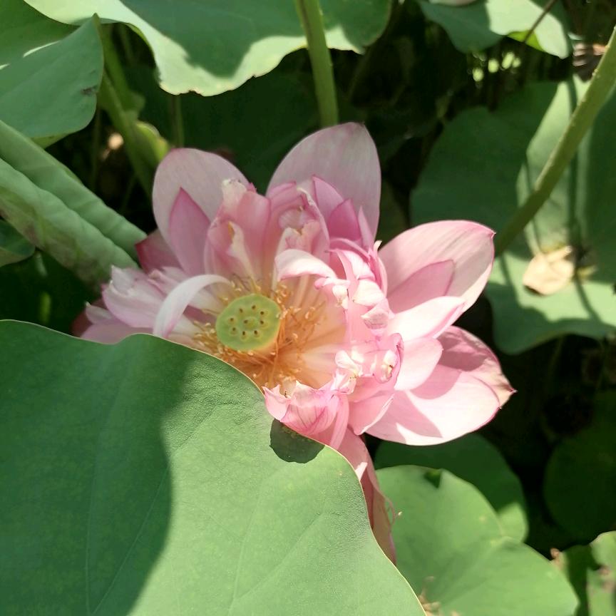 花多少工夫