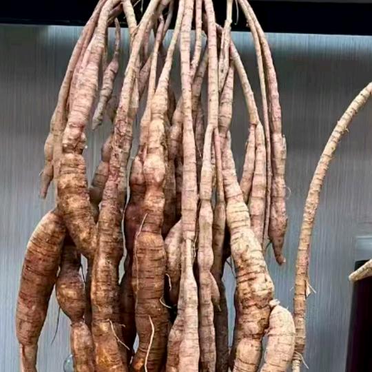 打工一族☎️
