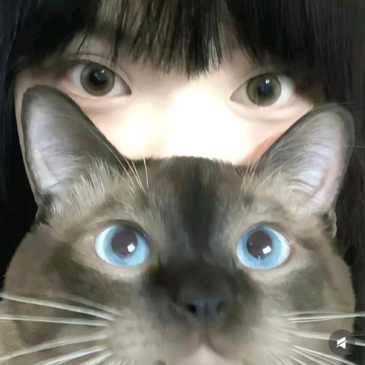 송우기（关我秒回）