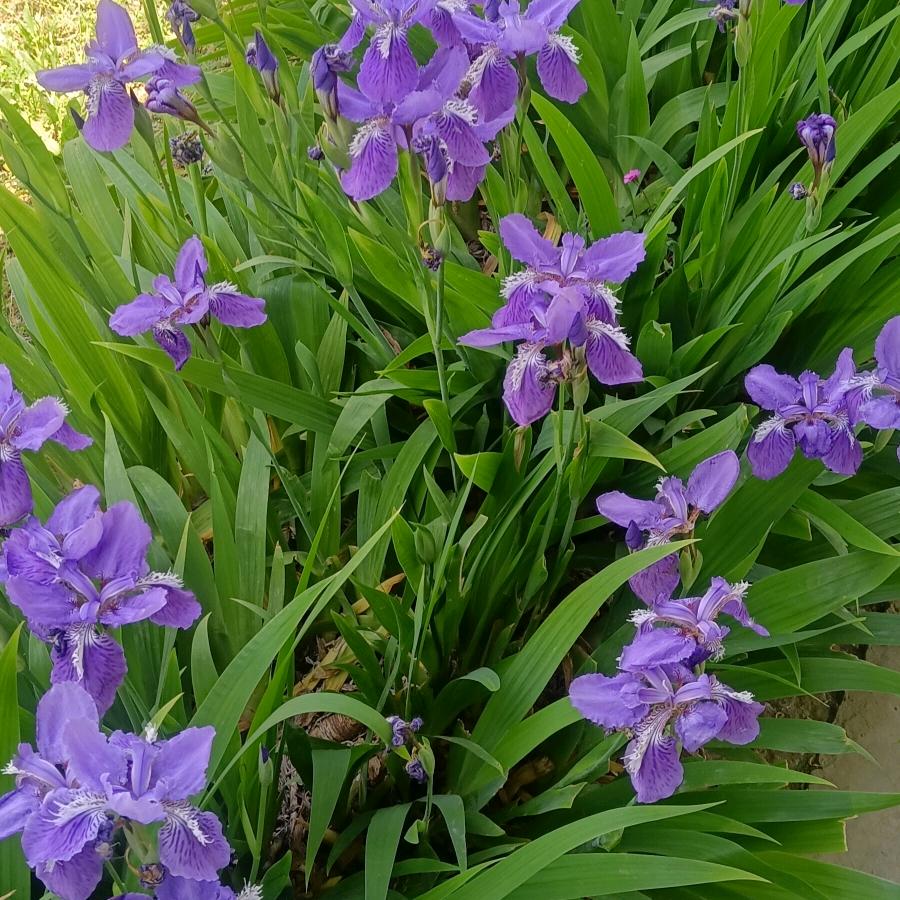 幸运向钱1（晚上7:10首播）