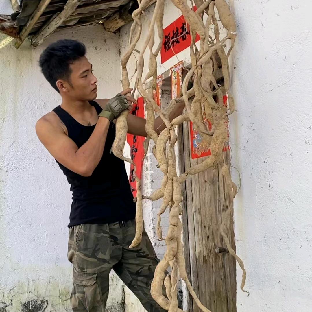 高清风