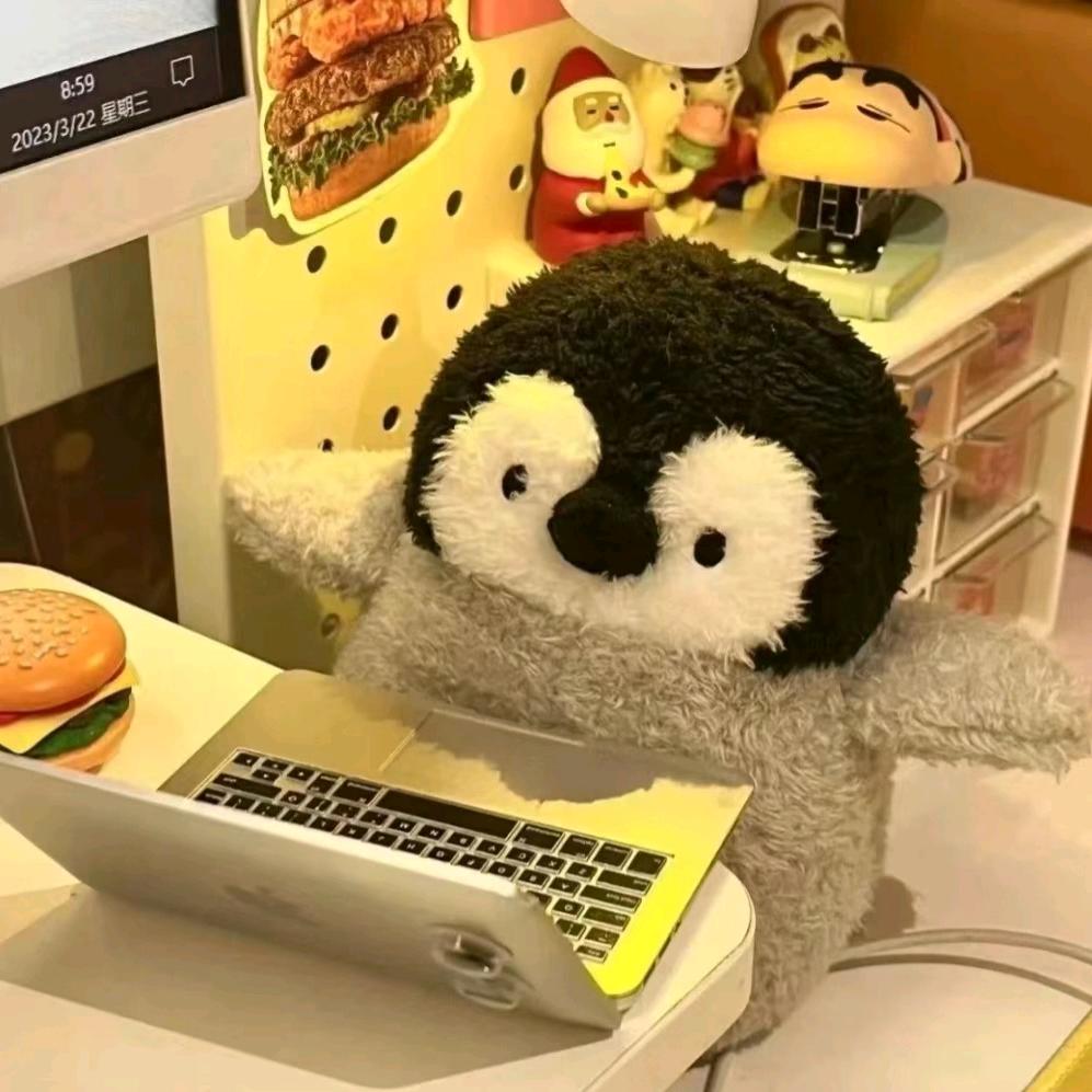 最重要最重要.