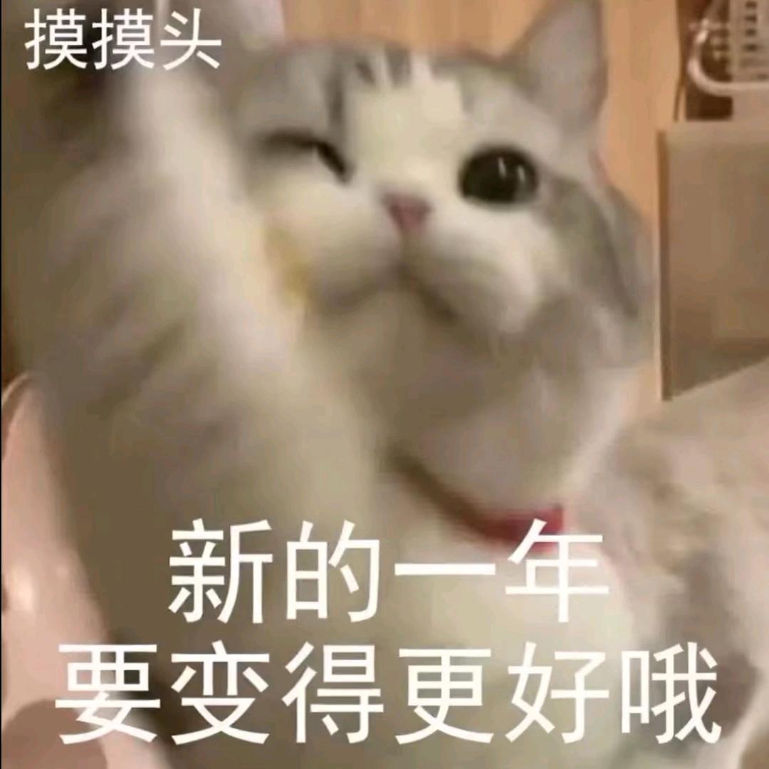 秦小灰