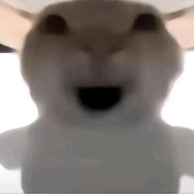 你再看我的名字吗